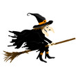 Halloween witch isolated