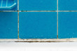 dirty bathroom with mold and water drops on blue tile closeup