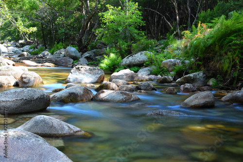 corse : rivière dans les gorges de spélunca Tableau sur Toile