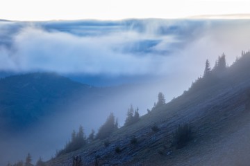 Wall Mural - Foggy mountain view at dusk