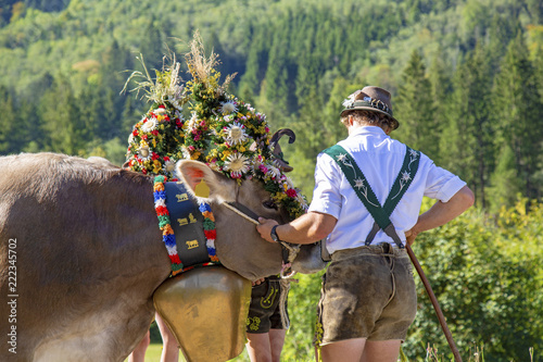 Fotomural Kranzkuh - Allgäu - Viehscheid - Original - Tracht - urig