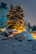 Beautiful night shot in the park of a winter scene with trees covered in snow