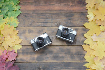 Two old cameras among a set of yellowing fallen autumn leaves on a background surface of natural wooden boards of dark brown color