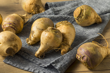 Raw Organic Brown Rutabaga Root