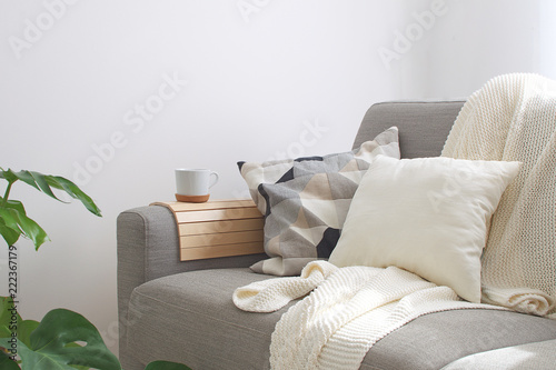 Photographie Home interior Cozy Living room Sofa Cushion Coffee mug Knitted plaid Monstera pl
