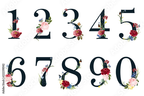 Cuadros en Lienzo Botanical numbers with tropical flowers illustration