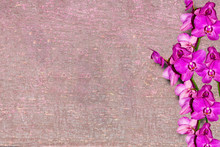 Flower Branch Lilac Orchid On Wooden Grunge Background With Remnants Of Old Paint, Copyspace, Top View
