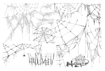 Wall Mural - set of spider web and text of holiday halloween