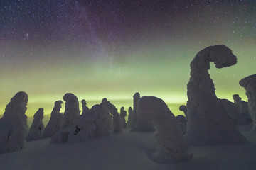 Wall Mural - Colorful Northern lights (Aurora borealis) above snowy wilderness in Lapland