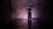 © zef art - Creepy silhouette in the dark abandoned building. Horror about maniac concept or Dark corridor with cabinet doors and lights with silhouette of spooky horror person
