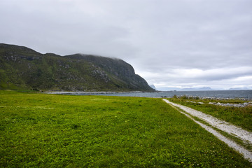 Poster - Green landscape and path in Norway ,More og Romsdal county, northernmost part of Western Norway