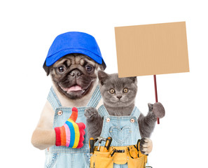 Poster - Funny puppy in blue cap and kitten worker with tool belt holding blank banner mock up on wood stick and showing thumbs up. isolated on white background