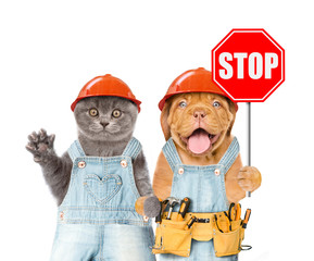 Poster - Funny kitten and puppy in overalls and hard hats with tool belt showing stop sign. Isolated on white background
