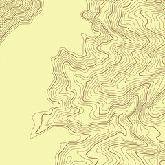 Wall Mural - the stylized height of the topographic contour in lines and contours. the concept of a conditional g