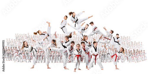 Dekoracja na wymiar  kolaz-przedstawiajacy-grupe-dzieci-trenujacych-sztuki-walki-karate-i-pozujacych-na-bialym-tle