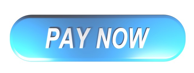 Leinwandbilder - Blue rounded rectangle push button PAY NOW - 3D rendering