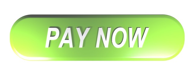Leinwandbilder - Green rounded rectangle push button PAY NOW - 3D rendering