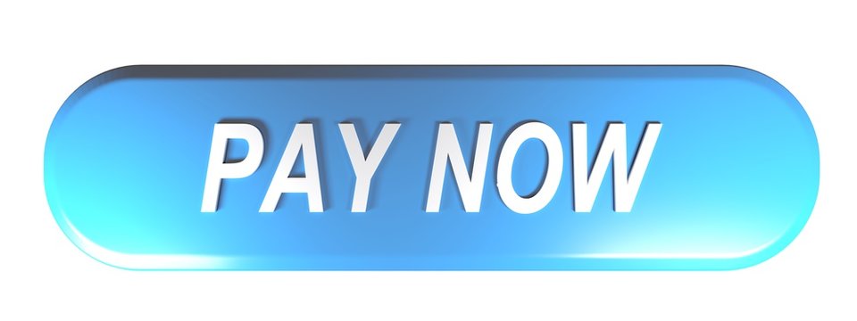 Blue rounded rectangle push button PAY NOW - 3D rendering