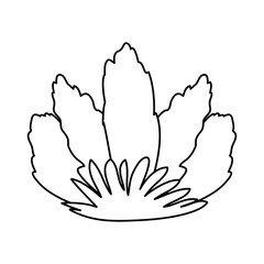 beautiful flower decorative icon