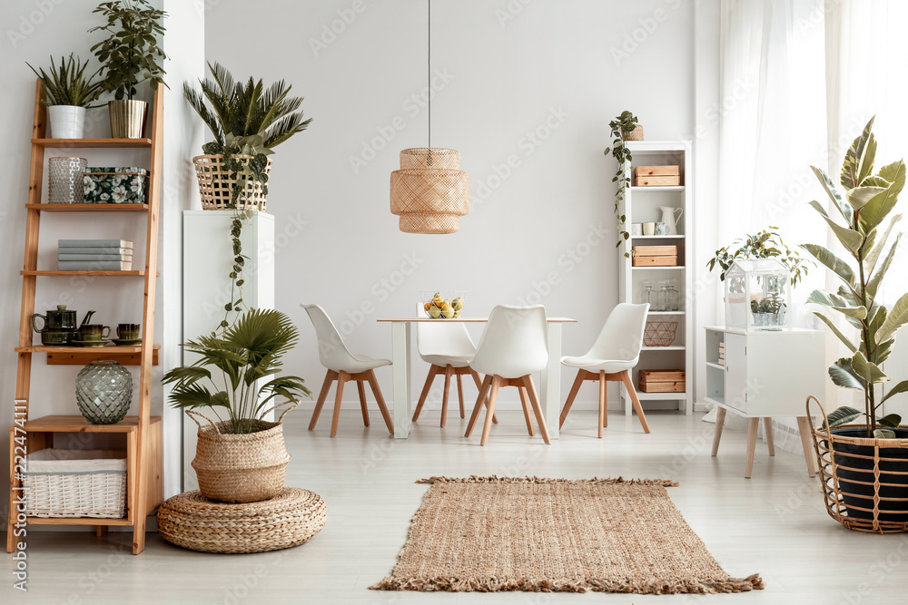 Plants on shelves and rug in white apartment interior with chairs at dining table under lamp. Real photo - obrazy, fototapety, plakaty 