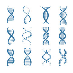 Wall Mural - dna icons. genetic biology human structure medical scientific representatives vector symbols isolate