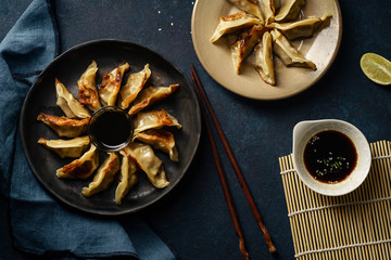 Fried gyoza dumplings with duck served with soy sauce ans sesame seeds. Dark blue concrete background