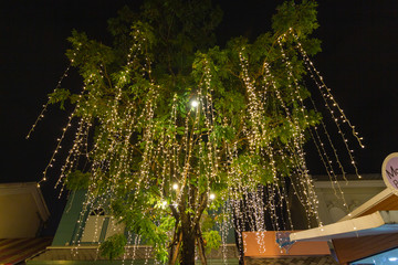 Decorative outdoor string lights hanging on tree in the garden at night time - decorative christmas lights - happy new year 