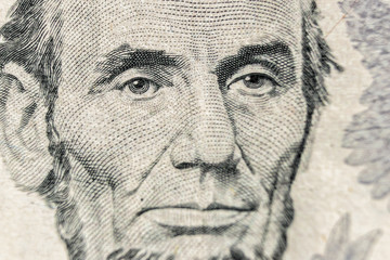 Wall Mural - close up on dollar bill