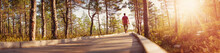 Man Walking On Wooden Walkway In Nature. Human Silhouette In The Morning