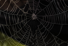 Close Up Of A Spider Web