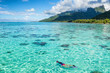 Luxury travel vacation tourist woman snorkeling in Tahiti ocean, Moorea island, French Polynesia. Snorkel swim girl swimming in crystalline waters and coral reefs.