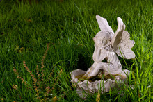 White Angel Bird Bath Statue Surrounded By Green Grass