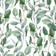 Seamless pattern of green eucalyptus leaves on white background