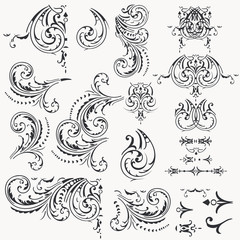 Wall Mural - Collection of decorative vector flourishes for design
