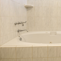 Wall Mural - Bath tub with faucet and soap dish on white tile