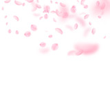 Fototapeta Sypialnia - Sakura petals falling down. Romantic pink flowers gradient. Flying petals on white square background