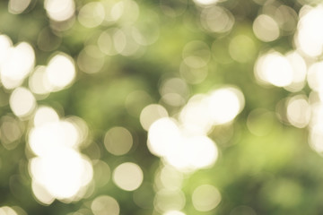 Wall Mural - abstract bokeh blur green color for background