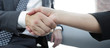 © ASDF - Businessman shaking hands to seal a deal with his partner