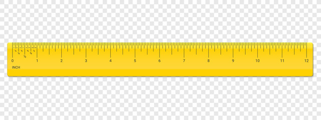 Wall Mural - ruler inch scale vector plastic measurement