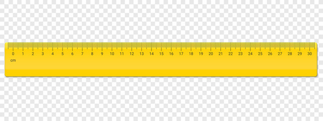 Wall Mural - ruler centimeter cm scale vector plastic