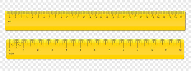 Wall Mural - ruler centimeter and inches scale vector plastic
