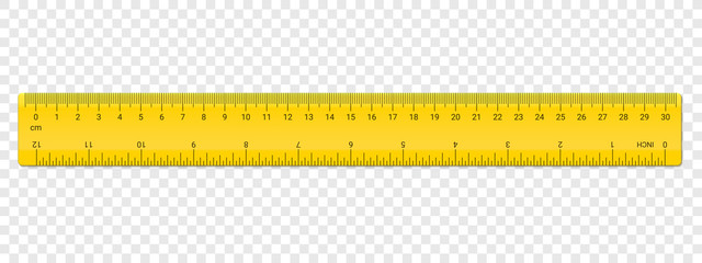 Wall Mural - ruler centimeter and inches double side scale