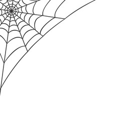 Wall Mural - spider web vector illustration