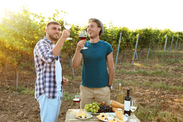 Poster - Friends tasting wine and having fun on vineyard picnic