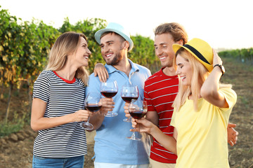 Wall Mural - Friends tasting wine and having fun on vineyard picnic