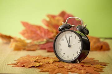 Autumn Black clock leaves