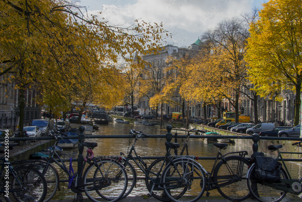 Autumnal canal scene Amsterdam - obrazy, fototapety, plakaty 