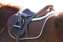 Sport Horse Close Up Under Old Leather Saddle On Dressage Competition. Equestrian Sport Background.