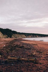 Wall Mural - sunset on the beach