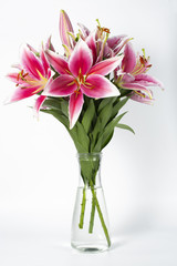 Bouquet of pink lilies in vase on a white background.